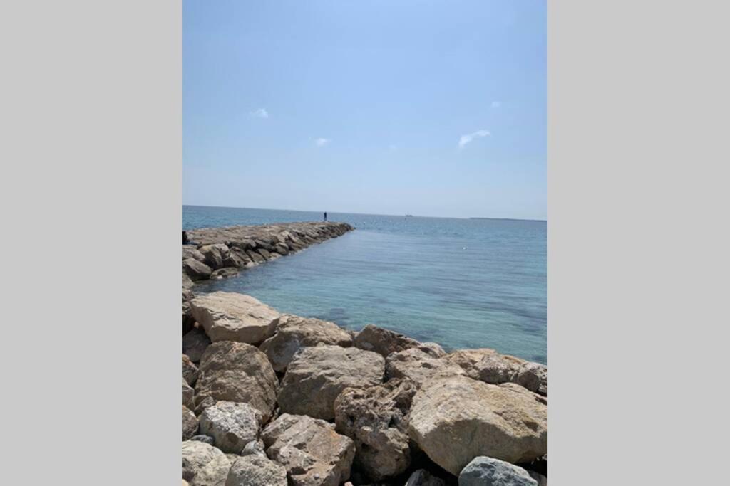 アンティーブJuan Les Pins Joli T2 Parking Inclus!アパートメント エクステリア 写真