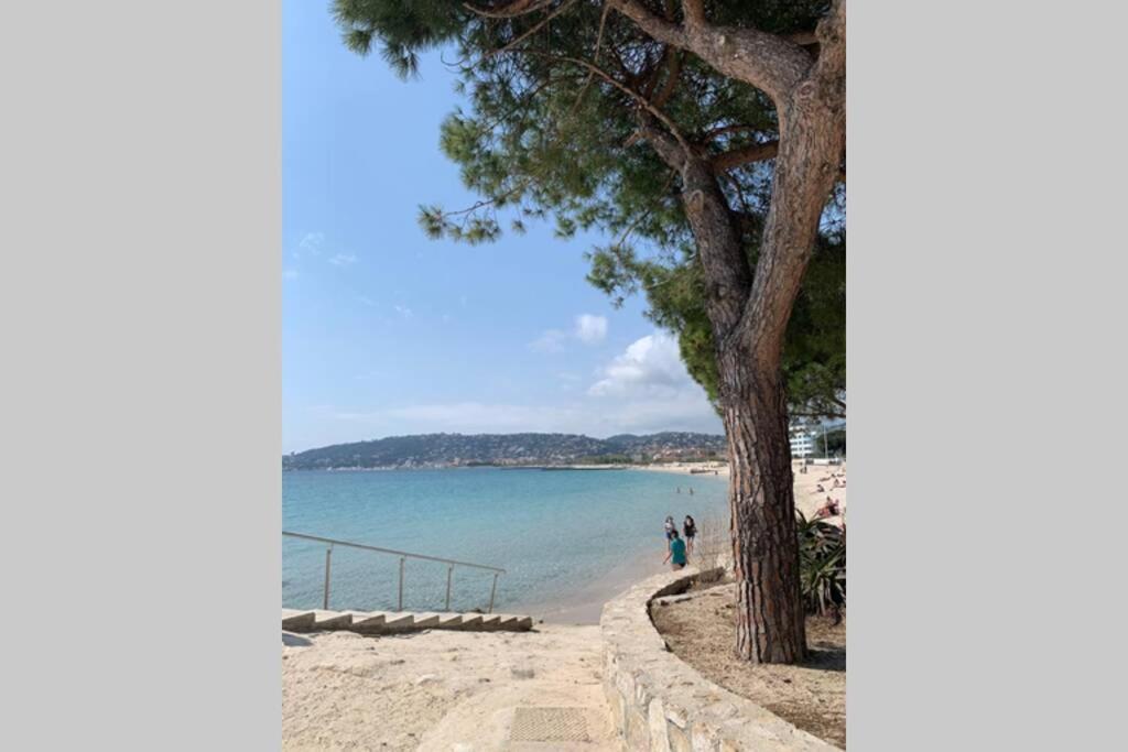 アンティーブJuan Les Pins Joli T2 Parking Inclus!アパートメント エクステリア 写真